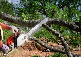 Lawn Watering Services in Thomasville, NC